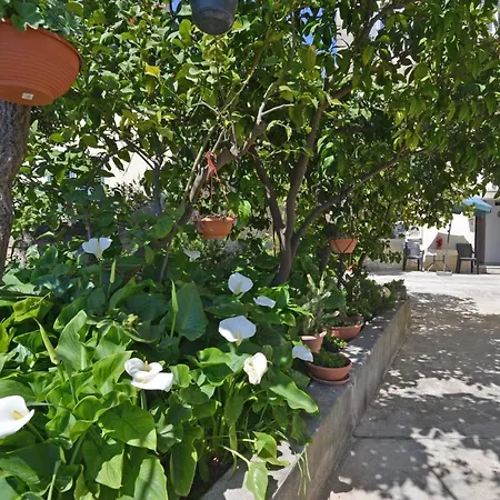 Pensionat Manda Dubrovnik